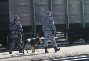 крадіжка
