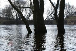 Автодороги Николаевской области оказались под водой