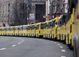 перевізники, автобуси, проїзд