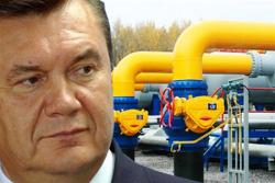 Газовыми переговорами с Россией займется Янукович