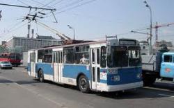 Житомир тролейбус