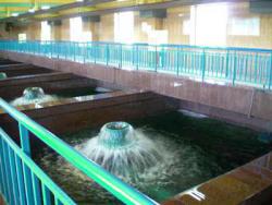 Днепропетровск обрастает водонасосными станциями
