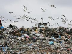 Мешканці Дніпропетровська погрузли в смітті