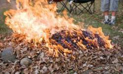 спалення опалого листя