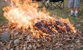 Сжигание опавших листьев
