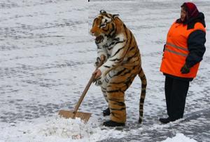 снегопад