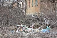 Запорожская инспекция по благоустройству взялась за мусор