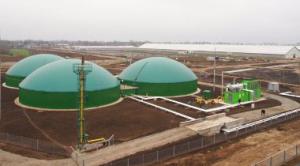 развитие сектора биогаза в Украине