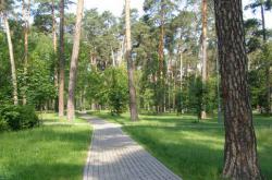 Львівські комунальники влітку йдуть у парки