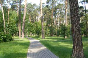 Львівські комунальники влітку йдуть у парки