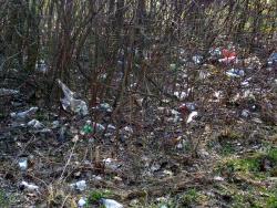 В Кременчуге коммунальщики придумали наказание за неубранный мусор