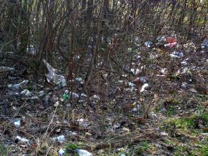 В Кременчуге коммунальщики придумали наказание за неубранный мусор