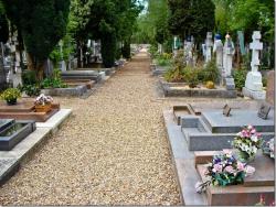 Кладовища перевірять на доступність для інвалідів