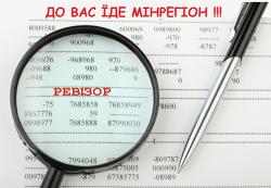 Як комунальники ревізора зустрічали