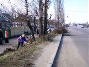 Житомирские власти заплатят горожанам за уборку дворов
