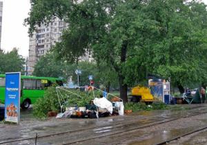 Харьковские деревья пали жертвой стихии